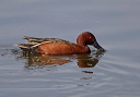 img_6404