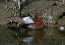 img_7596_teal