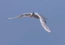 img_8484