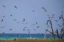 img_9209