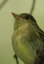 zh3z0591_empid