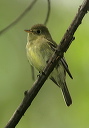 zh3z0592_empid