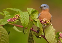 crw_6547